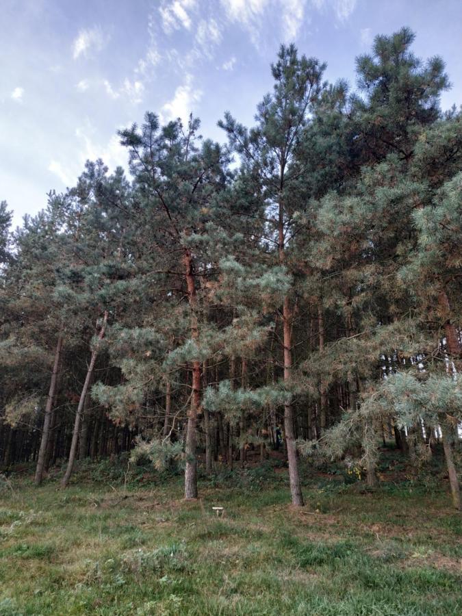Domki Nad Jeziorem - Zalesie 7D Zalesie (Olsztyn) Экстерьер фото