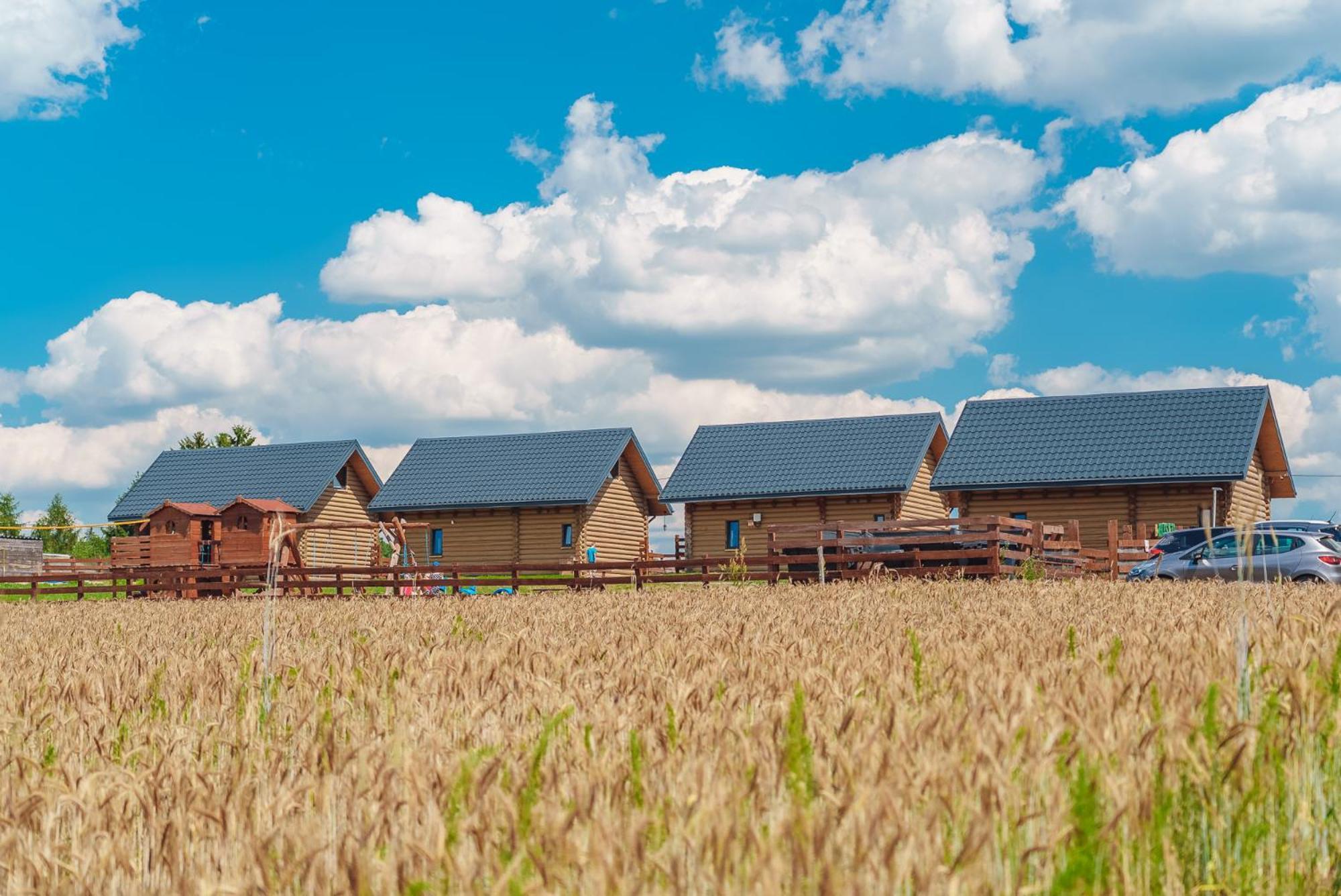 Domki Nad Jeziorem - Zalesie 7D Zalesie (Olsztyn) Экстерьер фото